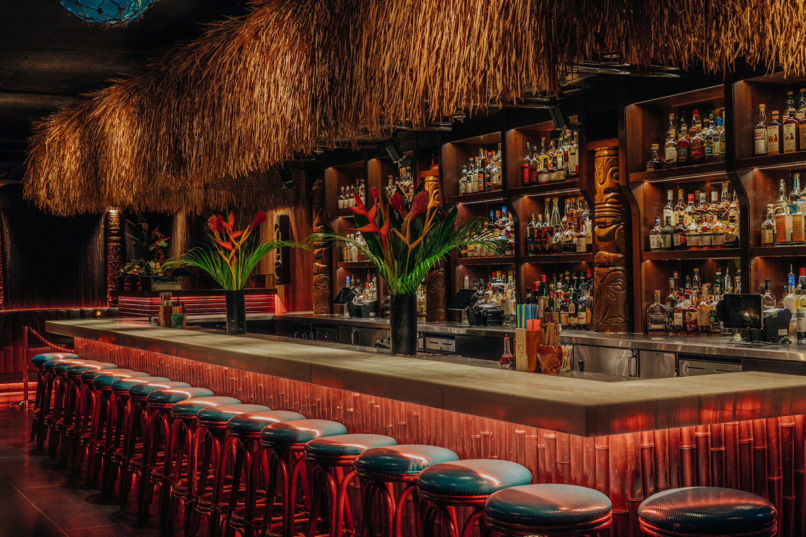 Inside Three Dots and a Dash—the underground tropical-room interior